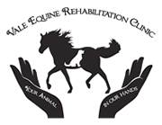 The Vale Rehabilitation Equine Clinic